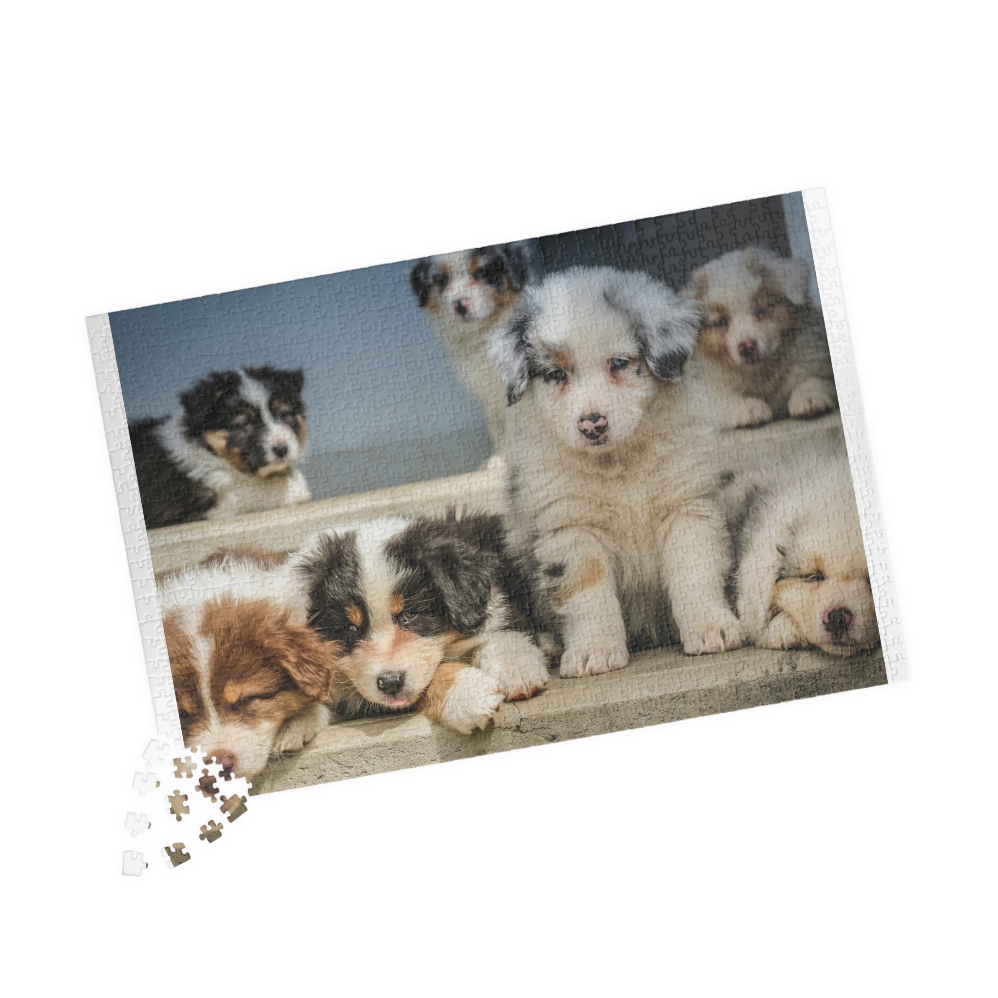 Puppies Jigsaw Puzzle — 252/520/1014-Piece Game