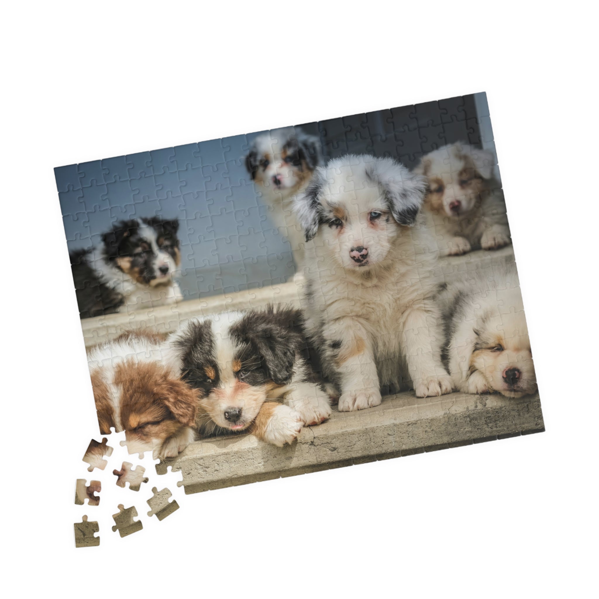 Puppies Jigsaw Puzzle — 252/520/1014-Piece Game
