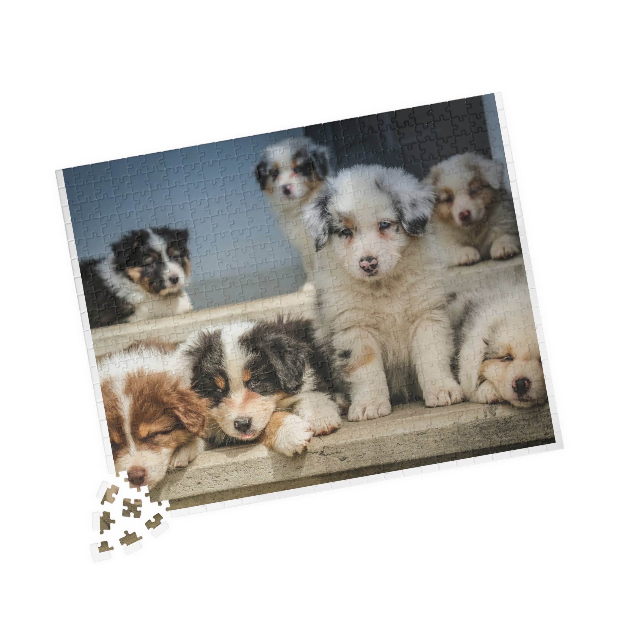 Puppies Jigsaw Puzzle — 252/520/1014-Piece Game