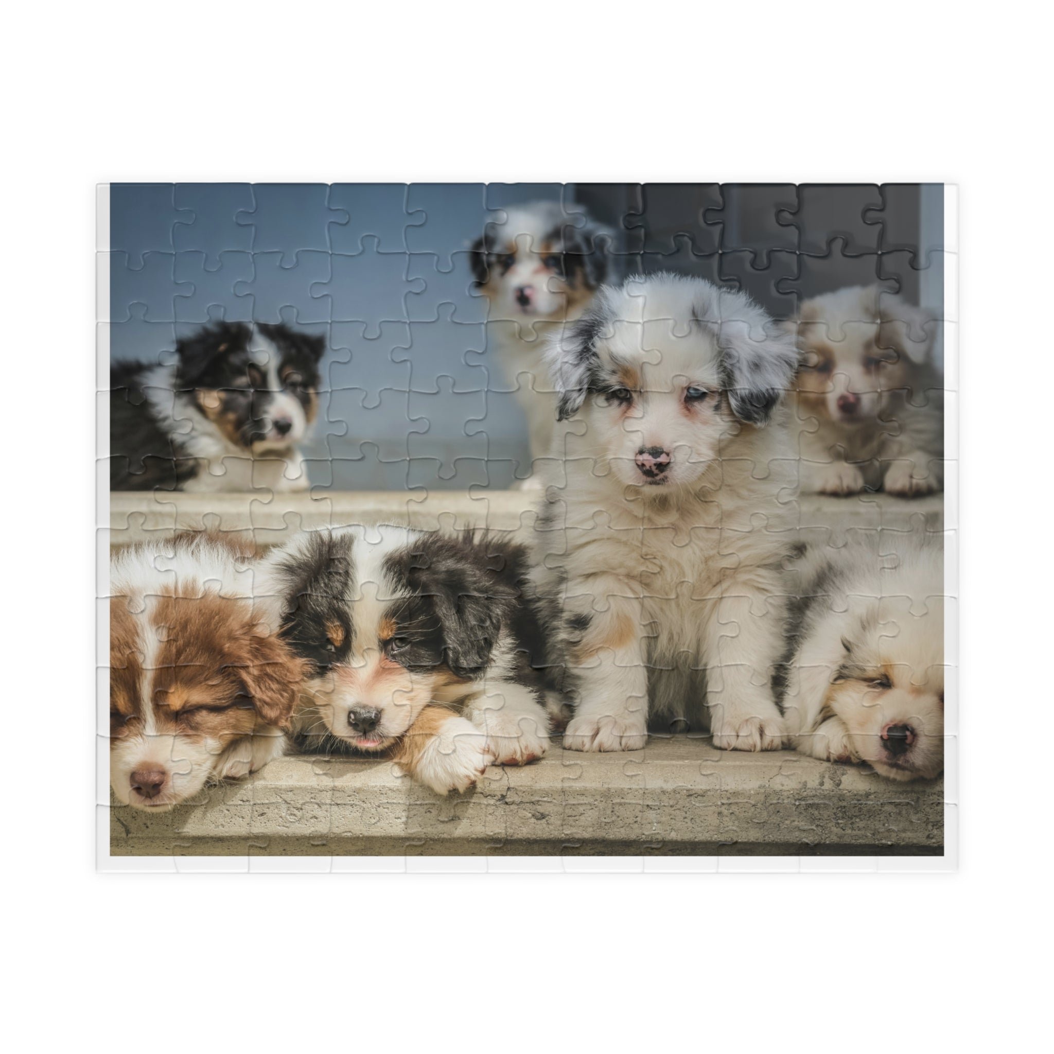 Puppies Jigsaw Puzzle — 252/520/1014-Piece Game