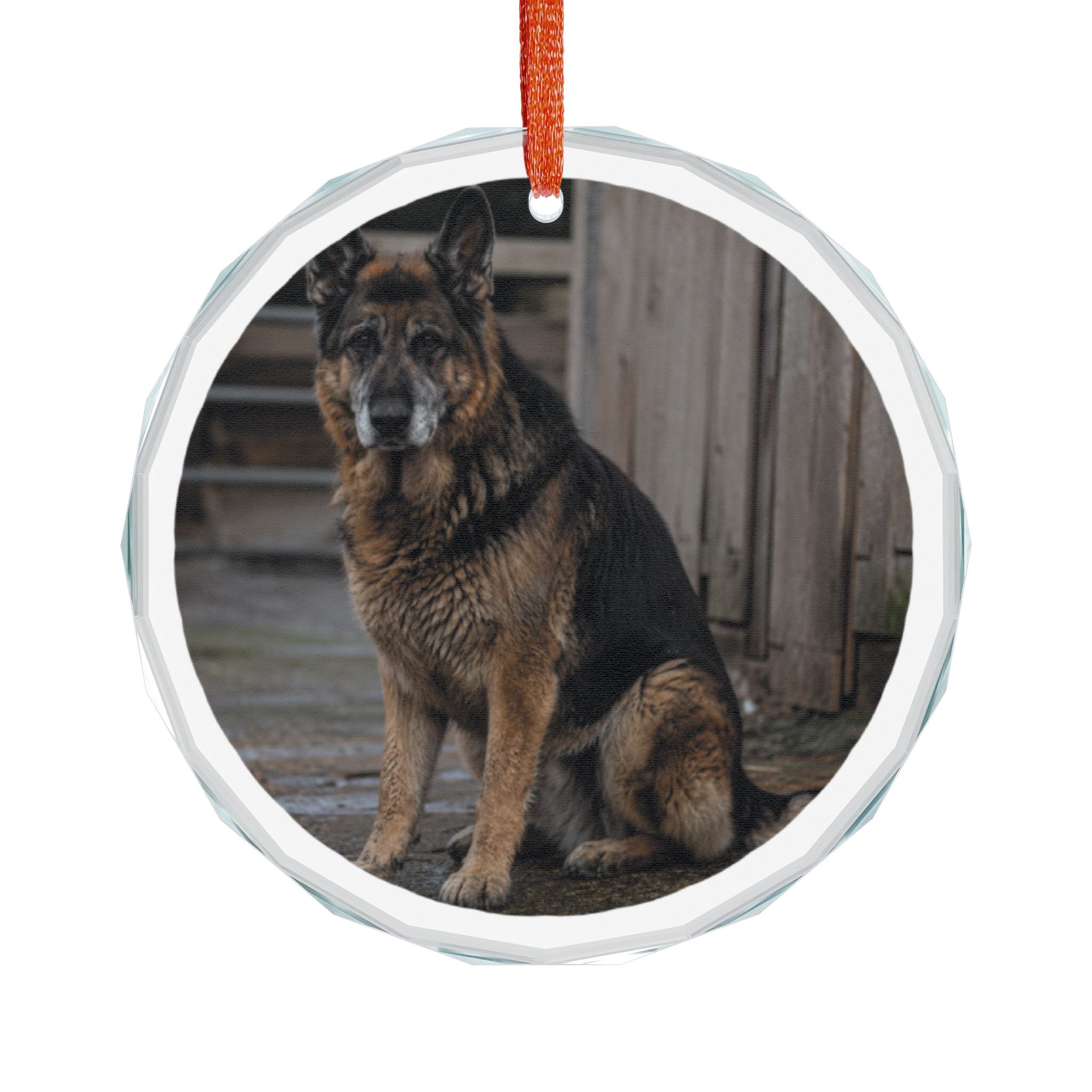 Glass Ornament — Personalized German Shepherd Photo Holiday Decoration